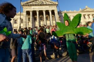 Încă o ţară legalizează canabisul în scopuri medicale: Despre cine este vorba