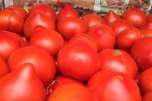 ATENȚIE LA ROȘIILE CU ȚUGUI! DEZVĂLUIREA CERCETĂTORILOR O SĂ TE CAM SPERIE