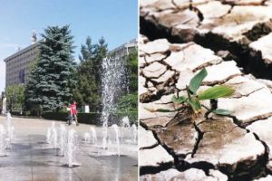 Prahovenii pot sta liniştiţi: peste o sută de instituţii şi comitete locale pentru situaţii de urgenţă au fost mobilizate împotriva caniculei şi secetei !