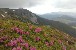 Pe poteci, spre inima ta…. la Toplita şi în Munţii Călimani! – cu Ioan Stoenica