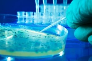 Bani europeni pentru cercetare. Cercetătorii români au şansa de a aplica mai uşor pentru fonduri europene