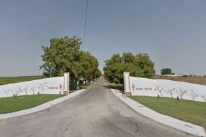 Insolventa companiei Murfatlar Romania SA analizata de Tribunalul Constanta. Ultima decizie a magistratilor