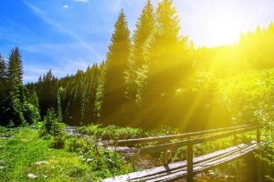 Cum va fi VREMEA până în 1 iulie, în Transilvania şi la munte. ANM a publicat prognoza meteo pentru următoarele două săptămâni