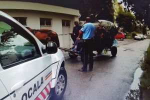 Poliţiştii locali le-au pus „gând rău” căutătorilor în gunoaie
