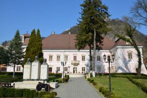 Medalie de aur pentru muzeul devean la Salonul Internaţional „Traian Vuia”