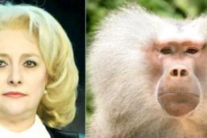 Viorica Dăncilă rămâne cu coafura de ”pavian”. CTP a câştigat procesul cu CNCD