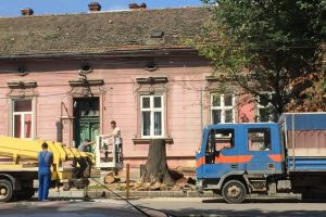 Cu drujba inainte! Se taie copaci de pe Bd. Mihai Viteazu