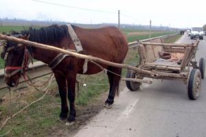 Trei căruţaşi accidentaţi de un autoturism