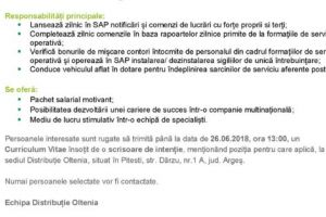 Distribuţie Oltenia angajează