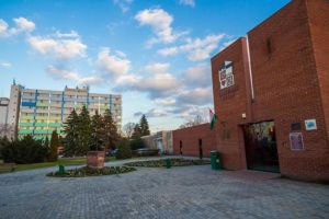 Proiect internaţional pentru localităţi înfrăţite, iniţiat de oraşul Gyula (Ungaria)