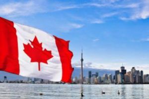 Senatul Canadei a legalizat consumul de marijuana în scop recreţional