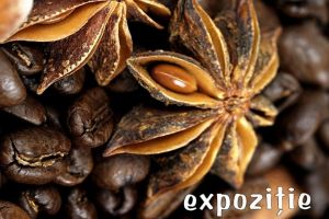 Expoziţia temporară intitulată „Magie în lumea seminţelor”, la Muzeul de Ştiinţele ...