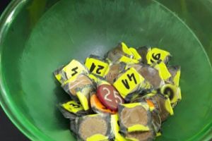 La Piteşti, Loteria Română n-are bani nici de nasturi, dar cică vrea să „sprijine” bugetul de stat