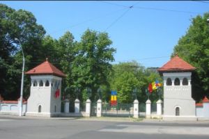 Simina Tănăsescu a DEMISIONAT. Epilog la SCANDALUL PRESIUNILOR asupra CCR