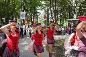 ”Ziua Rozelor”, sâmbătă, la Aiud: Tradiţionala paradă cu trăsuri şi biciclete decorate cu trandafiri, dansuri, concert Compact şi artificii