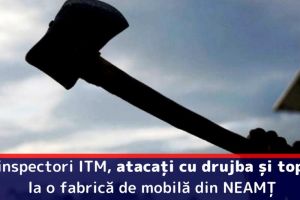 Doi inspectori ITM, atacaţi cu drujba şi toporul la o fabrică de mobilă din NEAMȚ