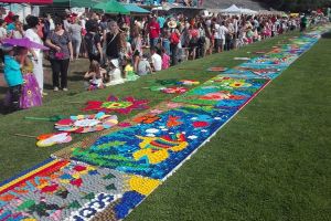 FOTO/VIDEO. OFICIAL! Satu Mare a intrat în Cartea Recordurilor