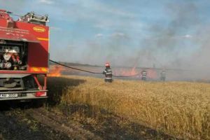 Aproape cinci hectare de grâu au fost mistuite de flăcări, la Peretu