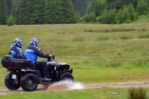 Bizonul la munte: Un bihorean de 31 de ani s-a dat cu maşina pe pajiştea alpină, la Stâna de Vale