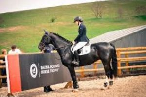 S-au pus în vânzare biletele pentru spectacolele Salina Equines Horse Trophy. Vezi de unde le poţi cumpăra