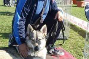 Antrenorul Ioniţă Mărăşescu: „Boxul este şahul cu pumni”