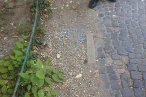 Pericol în cele mai cunoscute parcuri din Bucureşti. OTRAVA extrem de toxica, imprastiata pe spatiul verde