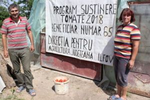 Campanie DAJ Ilfov, în cadrul „Programului Tomata”