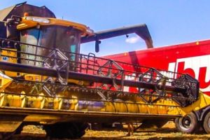 Rodbun, facturi fictive si jonglerii cu TVA