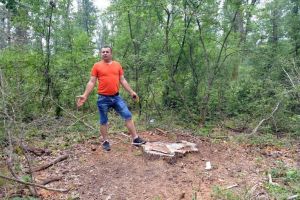 Acarul Păun: Acuzat de tăieri ilegale, un pădurar 