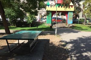 Eşti nemulţumit de starea DEPLORABILĂ în care au ajuns PARCURILE ARĂDENE? Poţi face o sesizare la Protecţia Consumatorului