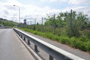Ne enervează: Trotuarele de pe drumul expres sunt pline de buruieni (FOTO)