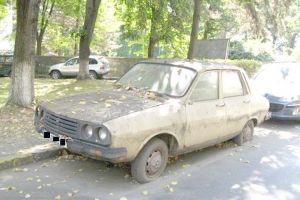 Gata cu şmecheria! 37 de rable vor fi ridicate din Bârlad