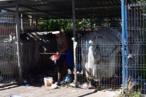 Apel lansat de Primăria Târgu-Mureş: „Implică-te şi tu, pentru un oraş curat!”