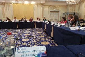 Programe şi iniţiative pentru sprijinirea tinerilor din estul Europei, dezbătute la Bruxelles
