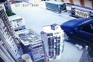 VIDEO şocant în Băile Felix! Un orădean acuză un preot că i-a călcat pisica cu maşina (FOTO / VIDEO)