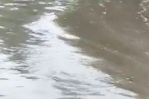 Bucureştiul sub ape