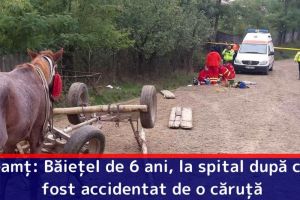 Neamţ: Băieţel de 6 ani, la spital după ce a fost accidentat de o căruţă