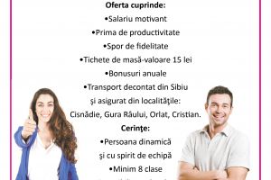 Grupo Antolin angajeaza MONTATORI SUBANSAMBLE pentru fabrica din Sibiu! Se ofera: salarii motivante, prime, sporuri, bonusuri anuale si tichete de masa