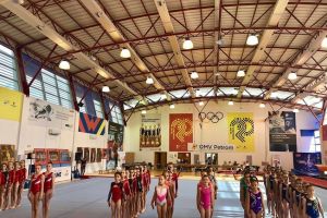 Concursul de referinta pentru Tara, tara, vrem campioane!“: Gimnastele constantene au urcat pe podium si la Cupa OMV Petrom (galerie foto + documente) 