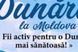 Picturi pe sticlă de Ziua Internaţională a Dunării