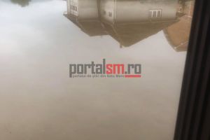 FOTO. Gospodării inundate la Cămârzana. Apele s-au revărsat în curţile oamenilor