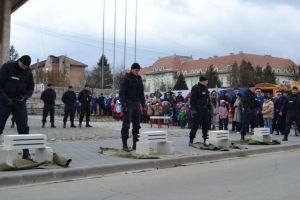 Jandarmeria achiziţionează grenade, petarde şi cartuşe: Valoarea estimată a munţilor depăşeşte 400.000 de lei