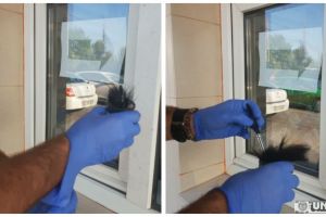 Hoţii care au ”spart” chioşcul alimentar din Alba Iulia pentru ţigări au fost prinşi în mai puţin de 24 de ore