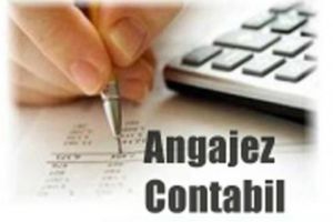 ANGAJARI in Prahova: SC Terra Strade angajeaza CONTABILA (contabilitate primara), salariu motivant, masina de serviciu