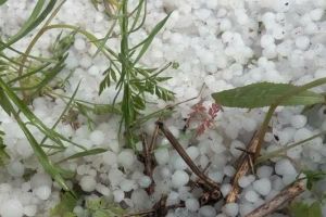 VIDEO. Ploaie cu gheaţă în cartierul albaiulian Miceşti