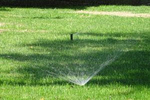 Primarul Mircia Gutau a inaugurat Parcul din Zona Nord