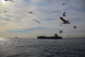 Ziua Internationala a Navigatorului, sarbatorita la Constanta: Multumim, navigatori!  