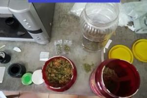 Percheziţii la traficanţi de droguri, la Cluj. Trei ”dealeri” au fost puşi sub arest preventiv FOTO