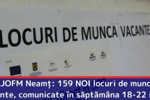 AJOFM Neamţ: 159 NOI locuri de muncă vacante, comunicate în săptămâna 18-22 iunie