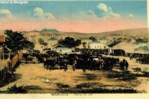 #scrieDobrogea: Abdul Hagi Cherim si Kemal Hagi Amet, primarii care au construit si modernizat Medgidia (galerie foto)  